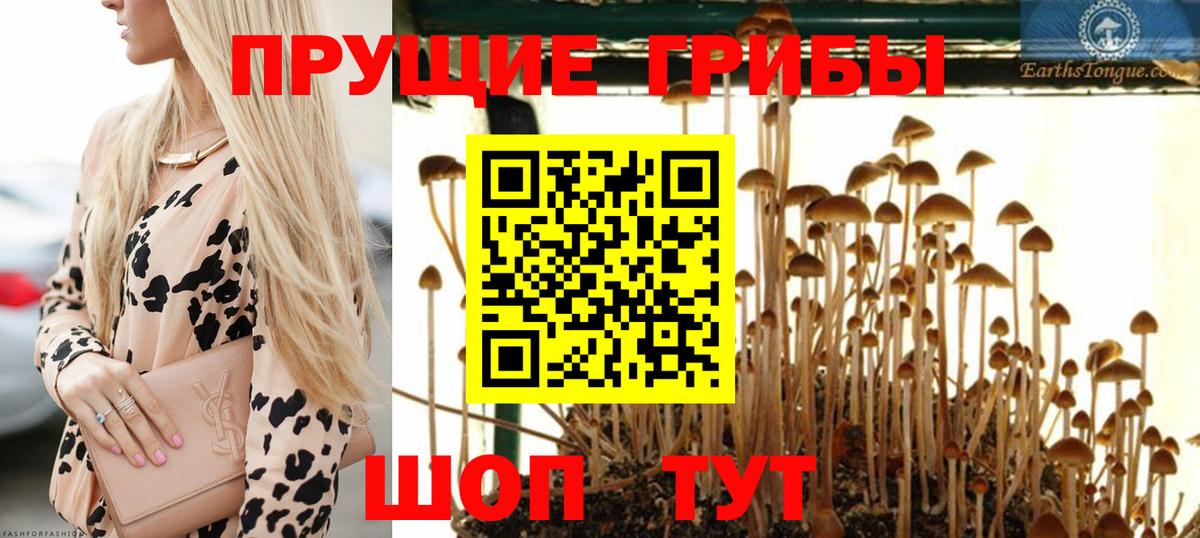 Галлюциногенные грибы Psilocybine cubensis  Галлюциногенные грибы MAGIC MUSHROOMS  Вход с VPN  Нововоронеж 